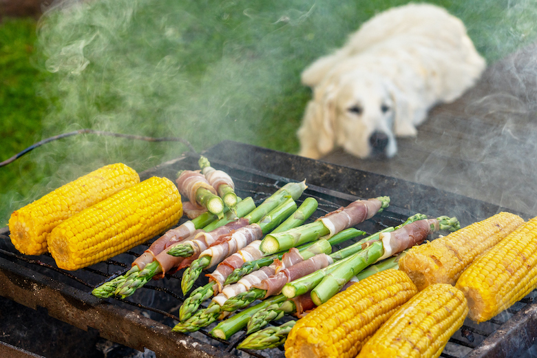 Gourmet barbecue. Grill veggies - corn, asparagus with bacon and prosciutto. Golden retriever napping during family barbeque in the backstage of summer terrace. (Gourmet barbecue. Grill veggies - corn, asparagus with bacon and prosciutto. Golden retri